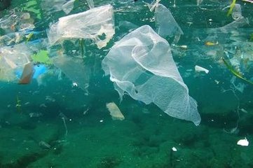 太平洋塑料垃圾帶面積已超兩個法國 微型塑料垃圾大約1.8萬億塊